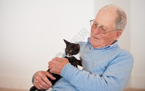 抱着猫的老人这不是一个没有毛皮孩子的家 一个老人抱着他的猫背景