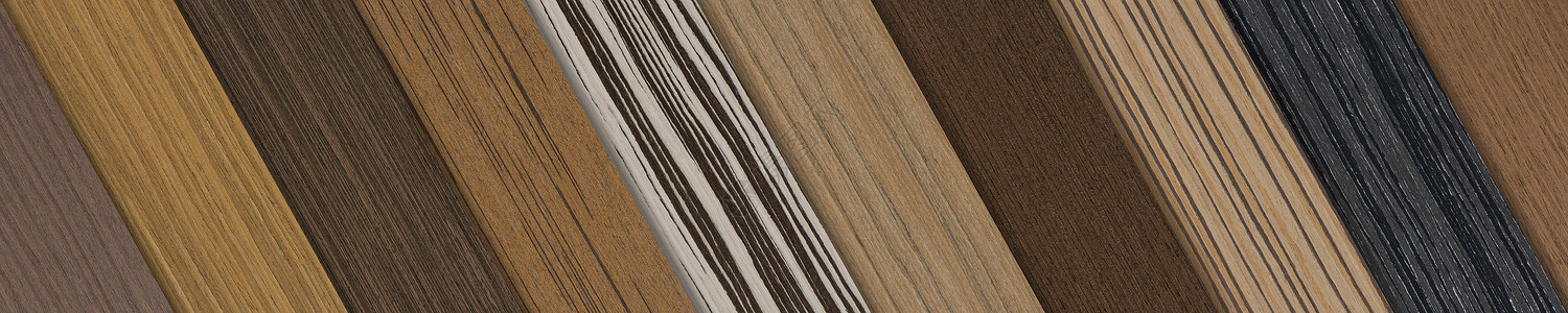 不同种类的木材样品 不同色调和纹理的木饰面 用于生产地板家具或门顶视图的木材样品粮食松树收藏目录木地板硬木风格橡木房子控制板背景图片