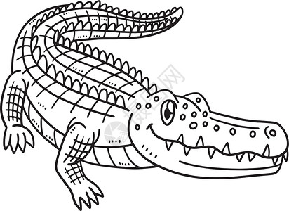 母亲Crocodile 儿童孤立的彩色页面背景图片