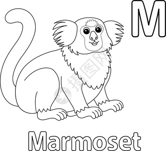 纳扎里斯Marmoset 字母字母 ABC 孤立的颜色页面 Z插画