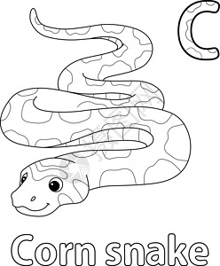 蛇鼠一框C 单色C页(C)插画