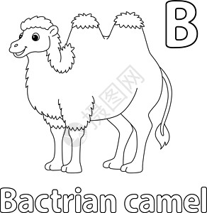 黑白骆驼Bactrian 骆驼 字母 ABC 单色 B插画