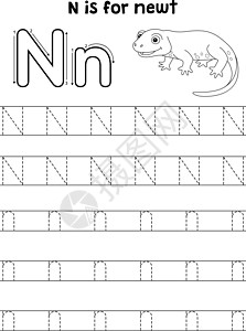 魏特教育纽特动物追踪信ABC 彩色页面 N设计图片