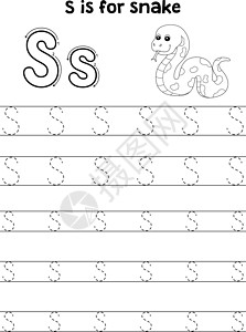 各种蛇类蛇类动物追踪信ABC 彩色页面 S设计图片