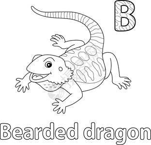 手绘蜥蜴单色 B 光化彩色 B插画