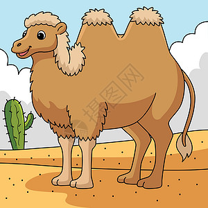 管胞菌属Bactrian 骆驼卡通片动物手绘驼峰涂鸦野生动物儿童哺乳动物颜色沙漠插画