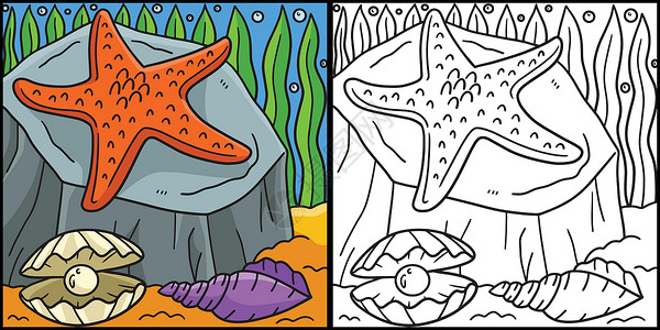 海星填色海星彩色页面有色插图插画