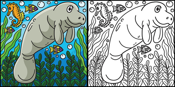 儒艮Manatee 色彩页面彩色说明海洋孩子学习孩子们涂鸦婴儿动物园插图童年图画书插画