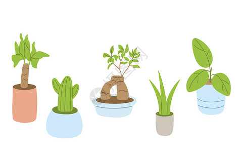 瓦蒂亚在白色背景隔绝的不同的室内盆栽植物 抽象的室内盆栽植物插画