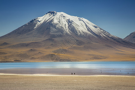 拉古纳米斯坎蒂安第斯山脉火山景观高清图片