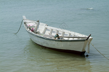 小型 白色木制小渔船钓鱼海洋海鲜背景图片