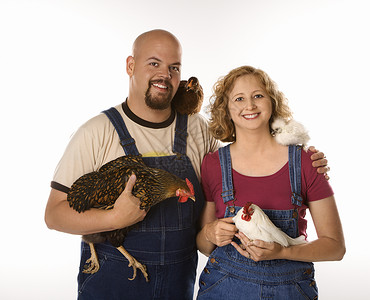古英语矮脚鸡公鸡女人和男人与鸡女性农业夫妻金发金发女郎照片家禽农民女士母鸡背景