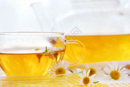非传统的Camomile 茶杯子饮料芳香生活服务药品茶碗玻璃花朵草本植物背景
