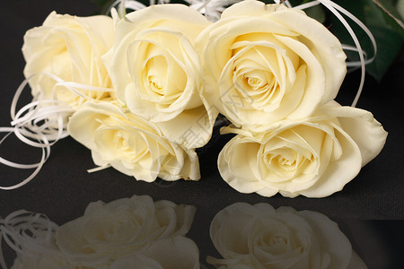 玫瑰花花瓣花束美丽叶子玫瑰礼物黑色绿色白色植物背景图片