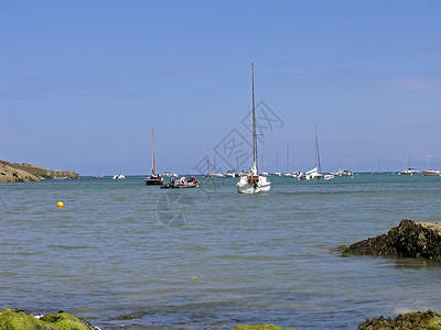 帆船 布列塔尼水手海滩海岸高清图片