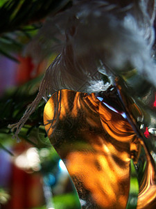 圣诞节装饰假期庆典光泽翅膀背景图片