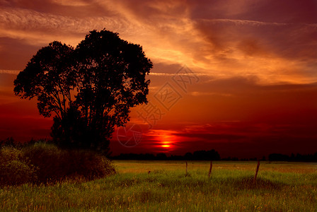 春日夕落太阳栅栏草地绿色红色农村季节日历橙子日落背景图片