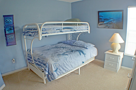海豚卧室背景图片