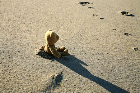 单身敲可怜泰迪熊在沙滩上孤独脚印阴影婴儿吉祥物玩物孩子动物阳光寂寞背景