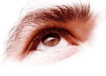 眼眼皮反射眉头角膜棕褐色瞳孔皮肤眼球器官头发背景图片