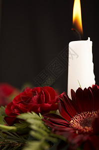 蜡烛季节性假期红色桌子棕色绿色背景图片