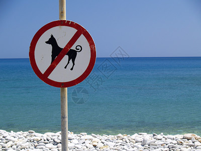 无狗蓝色海洋天空鹅卵石海滩背景图片