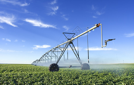 中枢洒水器天空技术生长食物绿色压力农田土豆机械高清图片