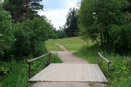 帕夫洛夫斯基俄罗斯公园中间的一条路高清图片