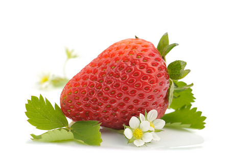 草莓和鲜花食物水果红色花朵宏观树叶背景图片