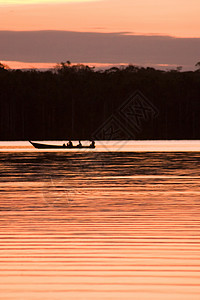 桑多瓦尔湖国家丛林森林手掌日落反思热带公园彩虹旅行背景图片