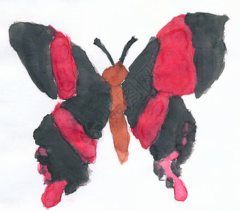 大蝴蝶 黑翅膀由纸上孩子画背景图片