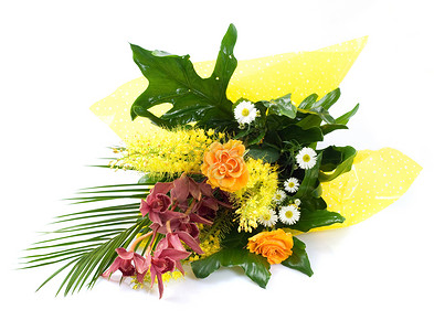花束花展示花店花朵植物叶子橙子兰花植物群礼物白色背景图片