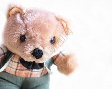 穿背带裤熊身穿衣服的泰迪熊玩具童年展示乐趣礼物棕色动物背景