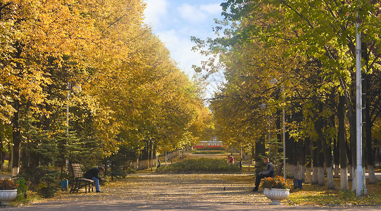 公园中大道季节女士森林花园男人长椅叶子绿色黄色乌法高清图片