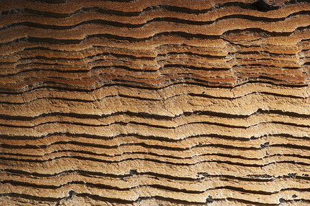 畦木木纹理木头裂缝锯齿宏观沟壑戒指材料年轮木材背景