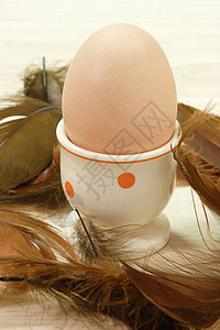 棕蛋营养鸡蛋棕色羽毛食物早餐母鸡蛋壳高清图片