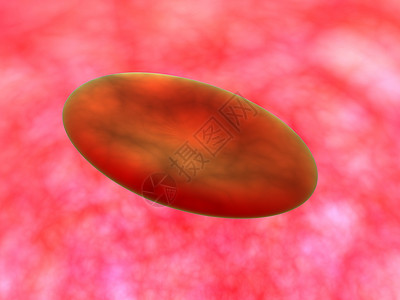 血红素细胞身体红色医疗宏观圆形细胞实验室血管生物科学背景