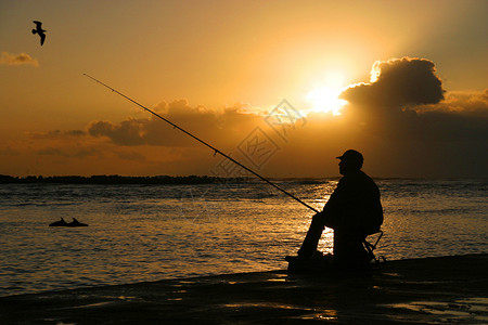 与海豚在日落时捕鱼背景图片