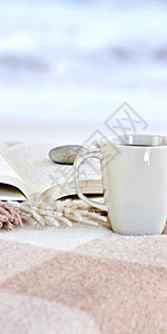 以茶叶轻松阅读羊驼石头图书海岸杯子海洋毯子海滩休息安详背景图片