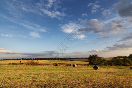 田地和草原季节农业耕作栽培天空收成农场干草收获孤独背景图片