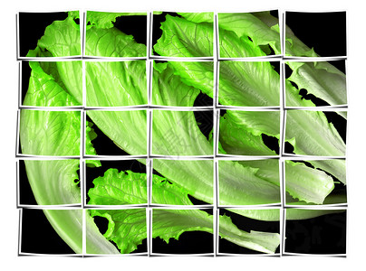 照片修补素材生菜叶胃口作品沙拉数字化照片花园植被植物饮食团体背景