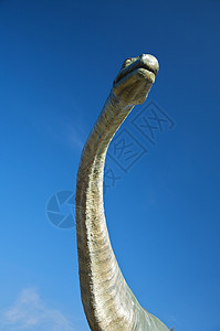 恐龙脖子背景图片