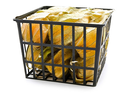 土铸ib篮子黄色盒子醋栗食物叶子橙子植物浆果高清图片