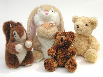 动物啮齿动物松鼠毛毛朋友哺乳动物头发害虫四边形玩具乐趣兔子朋友们四重奏动物背景
