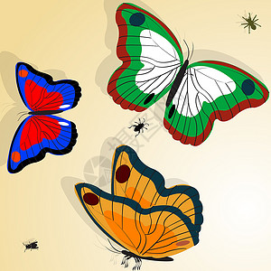 飞溅的蝴蝶图像蝴蝶图航班墙纸蓝色插图翅膀曲线昆虫坡度圆圈收藏背景