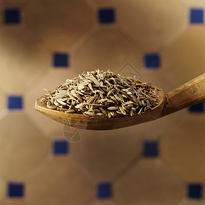 昆虫种子史诗木头和服勺子草药人民宏观辣椒厨房食物高清图片