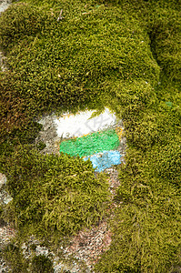 西班牙苔藓远足路径的标记背景