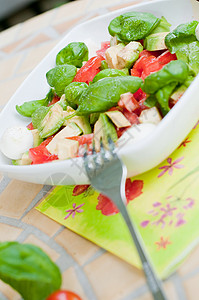多彩色沙拉盘子维生素饮食绿色场地营养红色蔬菜桌子宏观背景图片