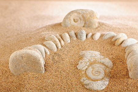 在沙沙中石头海洋碎石螺旋鹅卵石岩石卵石背景图片