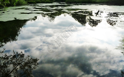 反射微风湖树木景观国家多云公园植被绿地农村天空液体背景图片